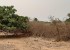 Vente Terrain en résidence sur un terrain de 929 m<sup>2</sup>  - Réf. T2668 Agence immobilière Saly Sénégal T2668-terrain-en-vente-a-nguerigne-senegal