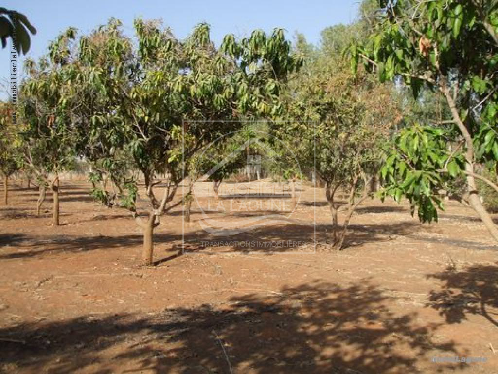 Agence Immobilière Saly Sénégal - T2108 - Terrain à NGAPAROU - T2108 Terrain à vendre à Ngaparou senegal