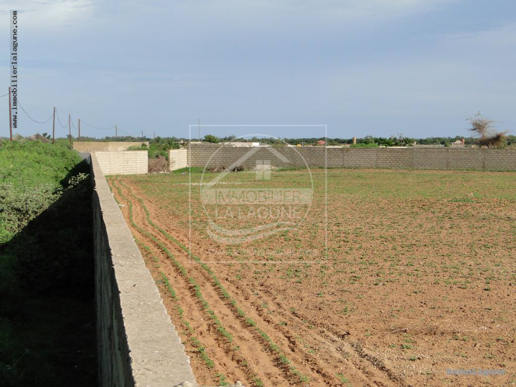 Agence Immobilière Saly Sénégal - T2120 - Terrain à NGUERIGNE - T2120 Terrain à vendre à Nguering senegal