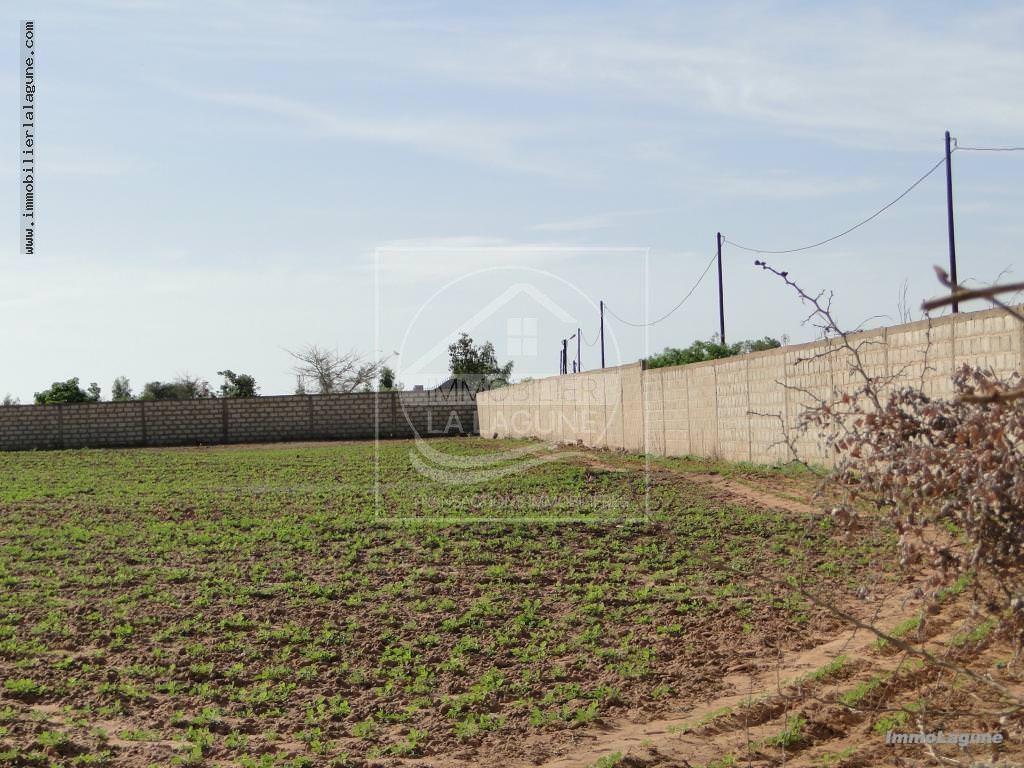 Agence Immobilière Saly Sénégal - T2119 - Terrain à NGUERIGNE - T2119 Terrain viabilisé à vendre à Nguering senegal