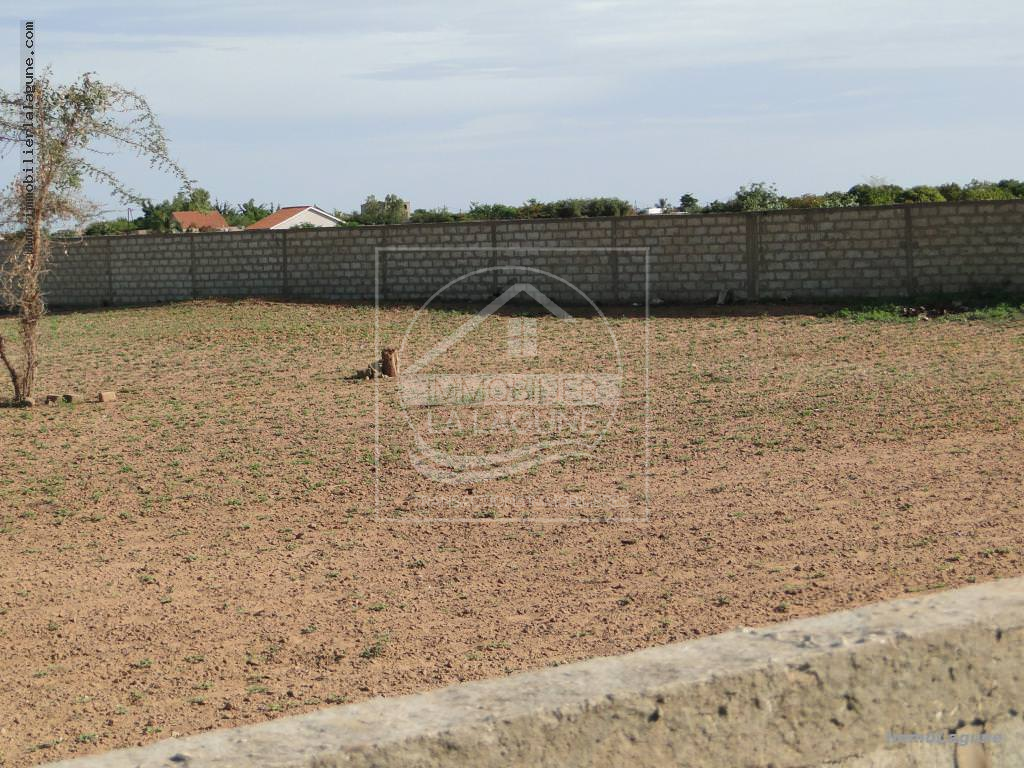 Agence Immobilière Saly Sénégal - T2119 - Terrain à NGUERIGNE - T2119 Terrain viabilisé à vendre à Nguering Sénégal