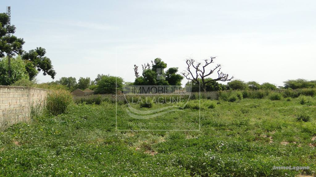 Agence Immobilière Saly Sénégal - T2139 - Terrain à NGUERIGNE - T2139 grand Terrain à vendre à Nguering Sénégal