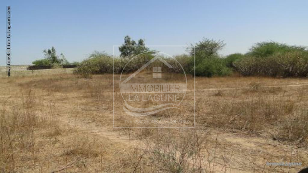 Agence Immobilière Saly Sénégal - T2184 - Terrain à SOMONE - t2184-terrain-a-vendre-a-somone-senegal