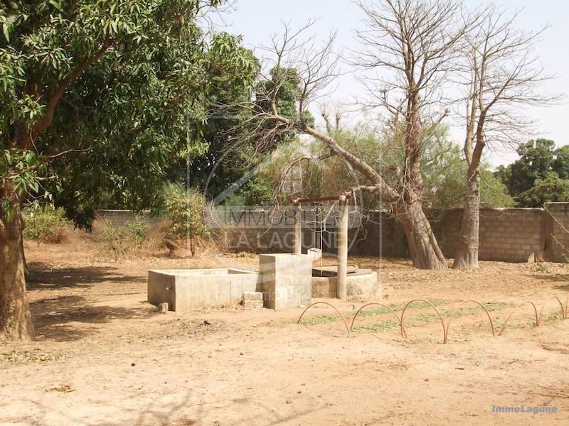 Agence Immobilière Saly Sénégal - T2222 - Terrain à NGUEKHOKH - T2222 terrain-nguekokh-senegal