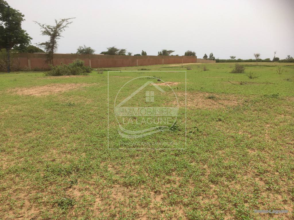 Agence Immobilière Saly Sénégal - T2246 - Terrain à NGUERIGNE - T2246 terrain à vendre à nguerigne senegal