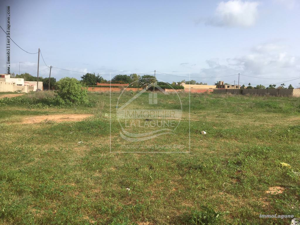 Agence Immobilière Saly Sénégal - T2253 - Terrain à NGAPAROU - T2253 terrain à acheter à ngaparou senegal