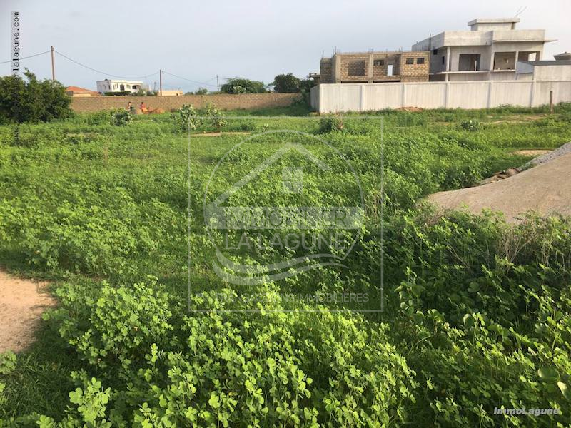 Agence Immobilière Saly Sénégal - T2258 - Terrain à SOMONE - T2285 terrain à acheter à somone senegal