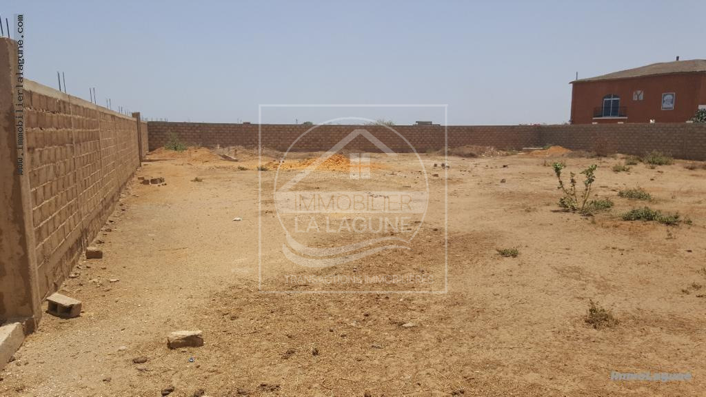 Agence Immobilière Saly Sénégal - T2374 - Terrain à NGAPAROU - V2374-terrain-en-vente-a-ngaparou-senegal