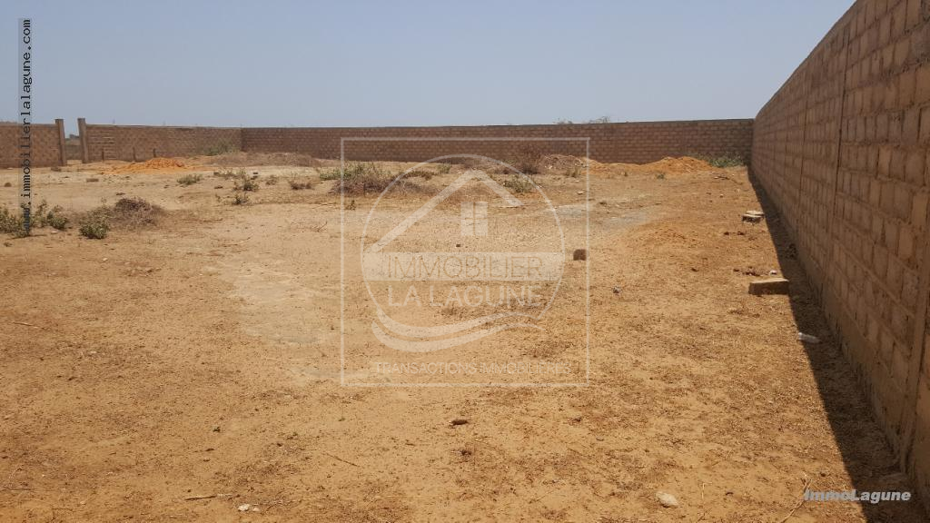 Agence Immobilière Saly Sénégal - T2374 - Terrain à NGAPAROU - V2374-terrain-en-vente-a-ngaparou-senegal