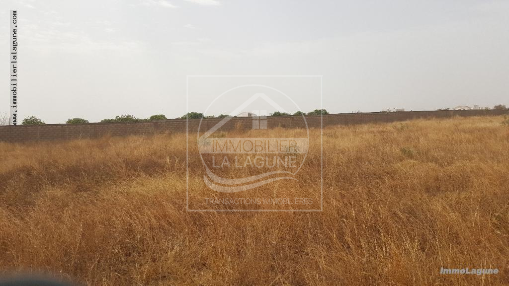 Agence Immobilière Saly Sénégal - T2460 - Terrain à NGUERIGNE - T2460-terrain-a-vendre-nguerigne-senegal