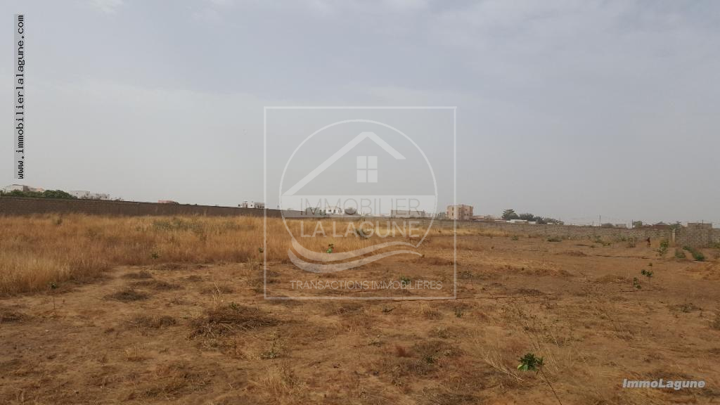 Agence Immobilière Saly Sénégal - T2460 - Terrain à NGUERIGNE - T2460-terrain-a-vendre-nguerigne-senegal