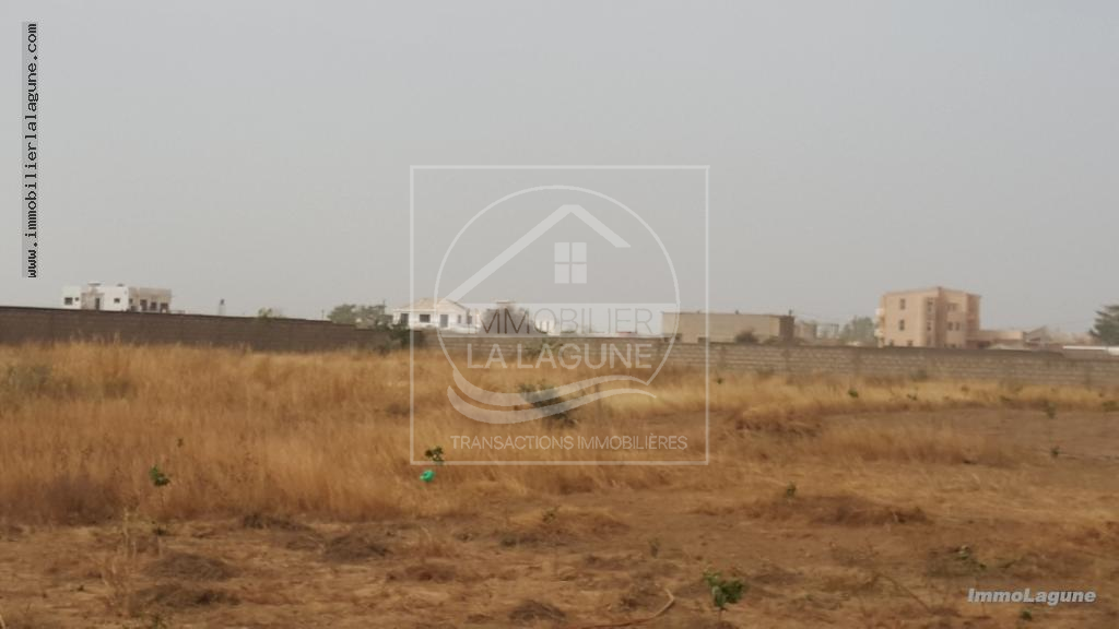 Agence Immobilière Saly Sénégal - T2460 - Terrain à NGUERIGNE - T2460-terrain-a-vendre-nguerigne-senegal