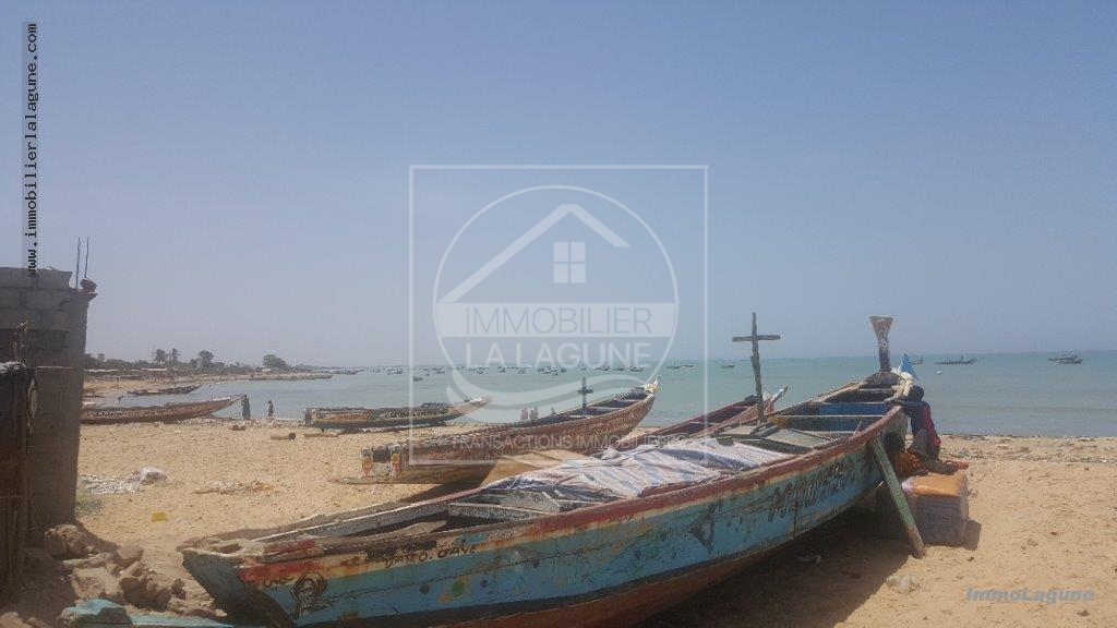 Agence Immobilière Saly Sénégal - T2510 - Terrain à MBOUR - T2510-terrain-a-vendre-a-mbour-senegal