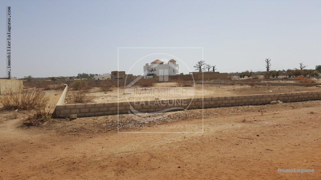 Agence Immobilière Saly Sénégal - T2513 - Terrain à GANDIGAL - T2413-terrain-a-vendre-a-gandigal-senegal