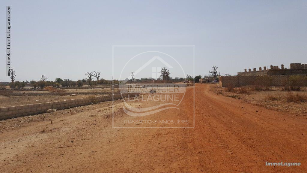 Agence Immobilière Saly Sénégal - T2513 - Terrain à GANDIGAL - T2413-terrain-a-vendre-a-gandigal-senegal