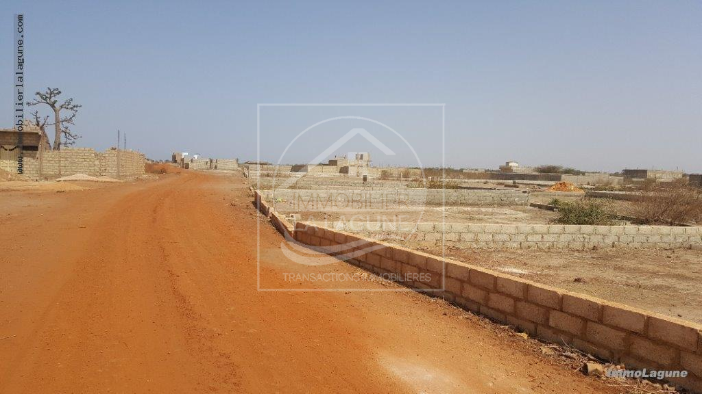 Agence Immobilière Saly Sénégal - T2514 - Terrain à GANDIGAL - T2514-terrain-a-vendre-a-gandigal-senegal