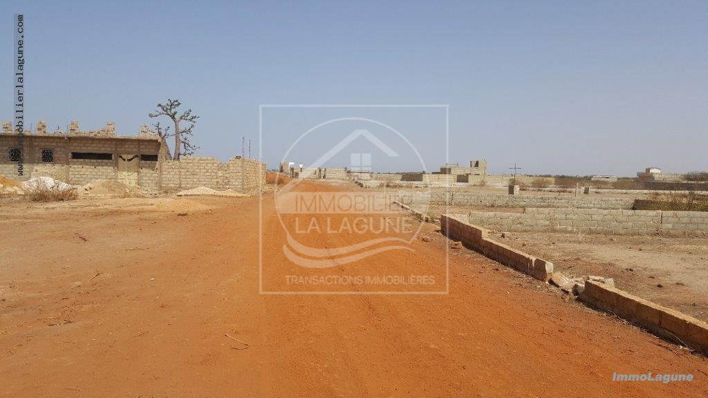 Agence Immobilière Saly Sénégal - T2514 - Terrain à GANDIGAL - T2514-terrain-a-vendre-a-gandigal-senegal