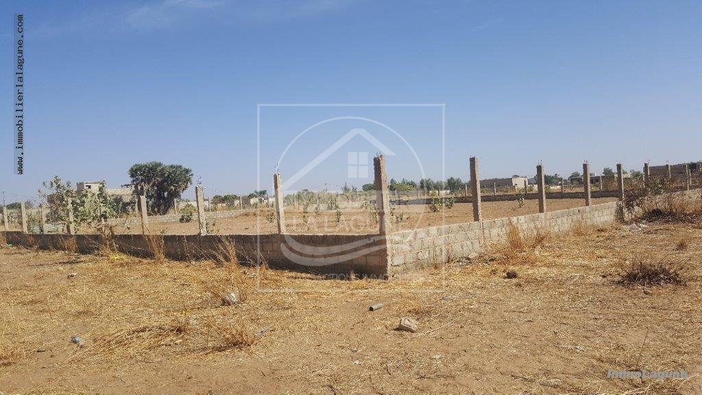 Agence Immobilière Saly Sénégal - T2565 - Terrain à NGUERIGNE - V2565-terrai-en-vente-a-ngerigne-serere-senegal