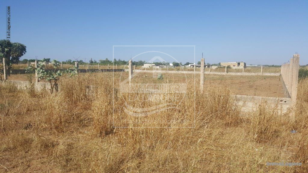 Agence Immobilière Saly Sénégal - T2565 - Terrain à NGUERIGNE - V2565-terrai-en-vente-a-ngerigne-serere-senegal