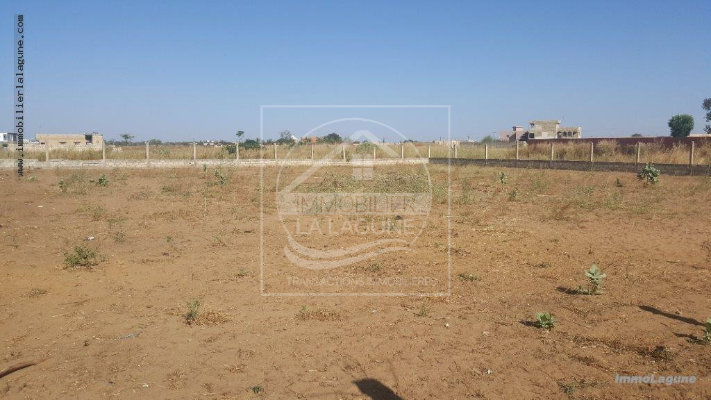 Agence Immobilière Saly Sénégal - T2565 - Terrain à NGUERIGNE - V2565-terrai-en-vente-a-ngerigne-serere-senegal