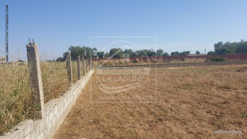 Agence Immobilière Saly Sénégal - T2565 - Terrain à NGUERIGNE - V2565-terrai-en-vente-a-ngerigne-serere-senegal