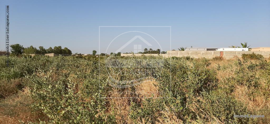 Agence Immobilière Saly Sénégal - T2578 - Terrain à N'DIOROKH - T2578 Terrain à vendre à Ndiorokh