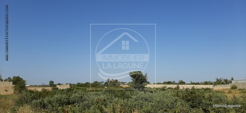 Agence Immobilière Saly Sénégal - T2578 - Terrain à N'DIOROKH - T2578 Terrain à vendre à Ndiorokh