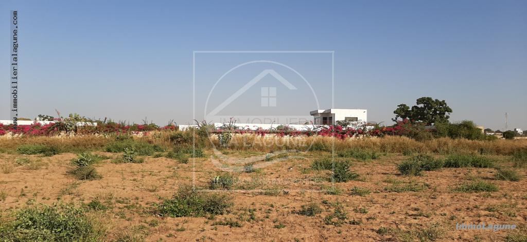 Agence Immobilière Saly Sénégal - T2380 - Terrain à NGUERIGNE - T2380 Terrain à vendre à Nguerigne