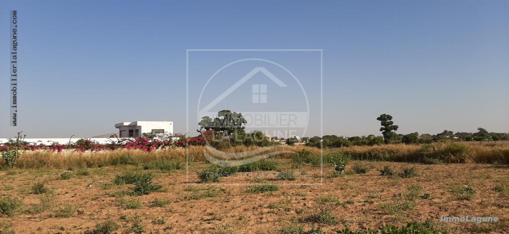 Agence Immobilière Saly Sénégal - T2380 - Terrain à NGUERIGNE - T2380 Terrain à vendre à Nguerigne