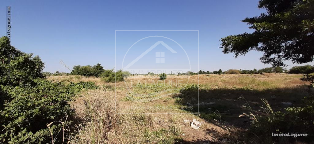 Agence Immobilière Saly Sénégal - T2574 - Terrain à SALY - T2574 Terrain à vendre à Saly