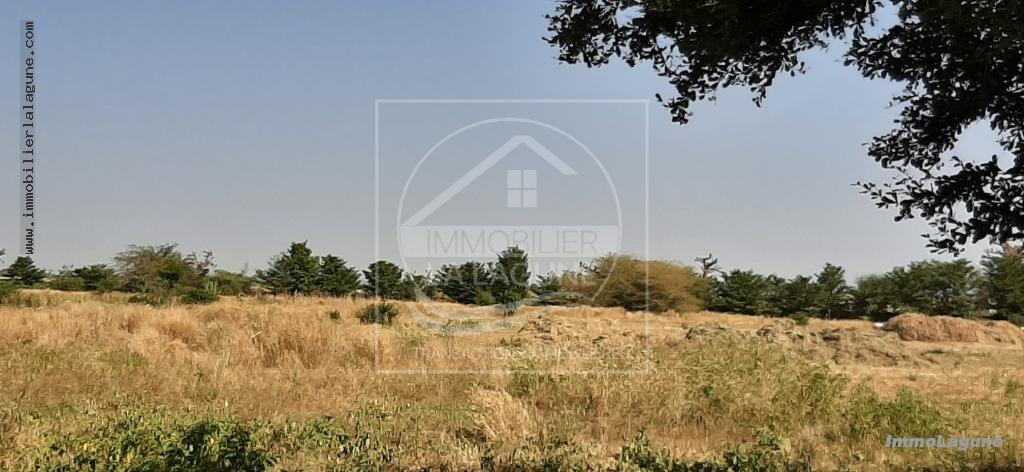 Agence Immobilière Saly Sénégal - T2574 - Terrain à SALY - T2574 Terrain à vendre à Saly