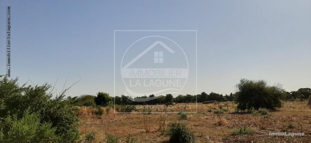 Agence Immobilière Saly Sénégal - T2574 - Terrain à SALY - T2574 Terrain à vendre à Saly