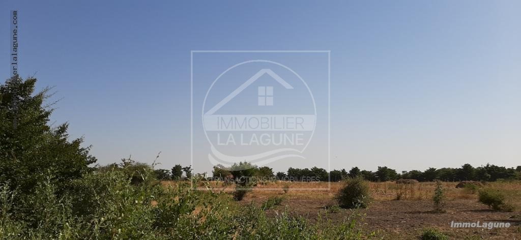 Agence Immobilière Saly Sénégal - T2574 - Terrain à SALY - T2574 Terrain à vendre à Saly