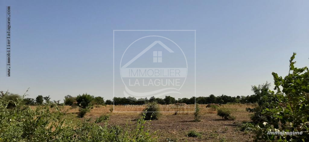 Agence Immobilière Saly Sénégal - T2574 - Terrain à SALY - T2574 Terrain à vendre à Saly