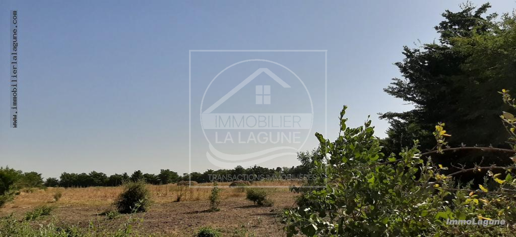 Agence Immobilière Saly Sénégal - T2574 - Terrain à SALY - T2574 Terrain à vendre à Saly