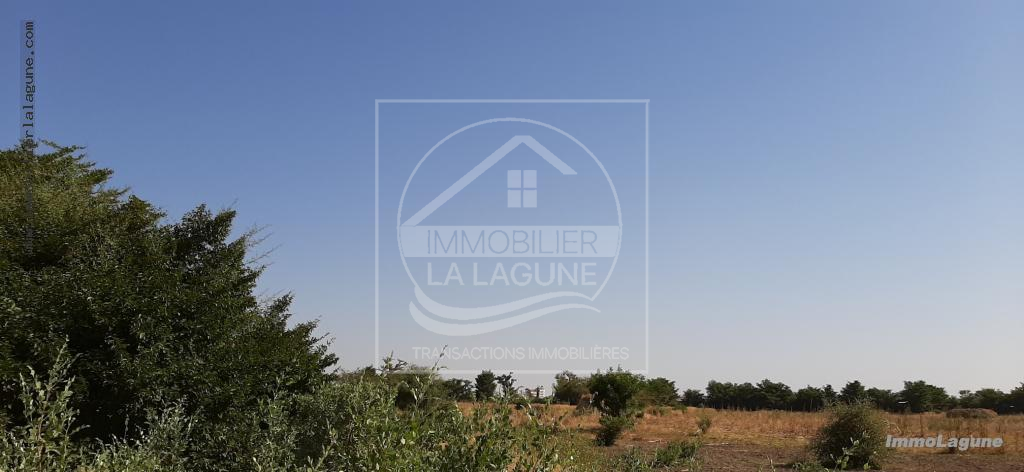 Agence Immobilière Saly Sénégal - T2575 - Terrain à SALY - T2575 Terrain en vente à Saly