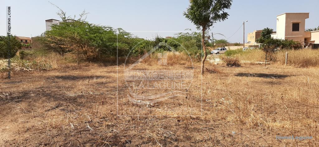 Agence Immobilière Saly Sénégal - T2595 - Terrain à SOMONE - T2595-terrain-en-vente-a-somone-senegal