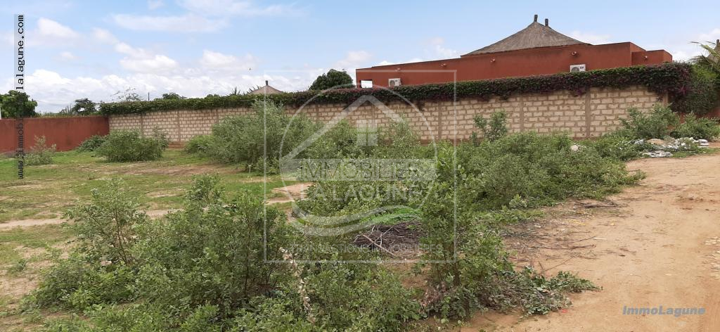 Agence Immobilière Saly Sénégal - T2673 - Terrain à NGAPAROU - T2673-terrain-a-vendre-a-ngaparou-senegal