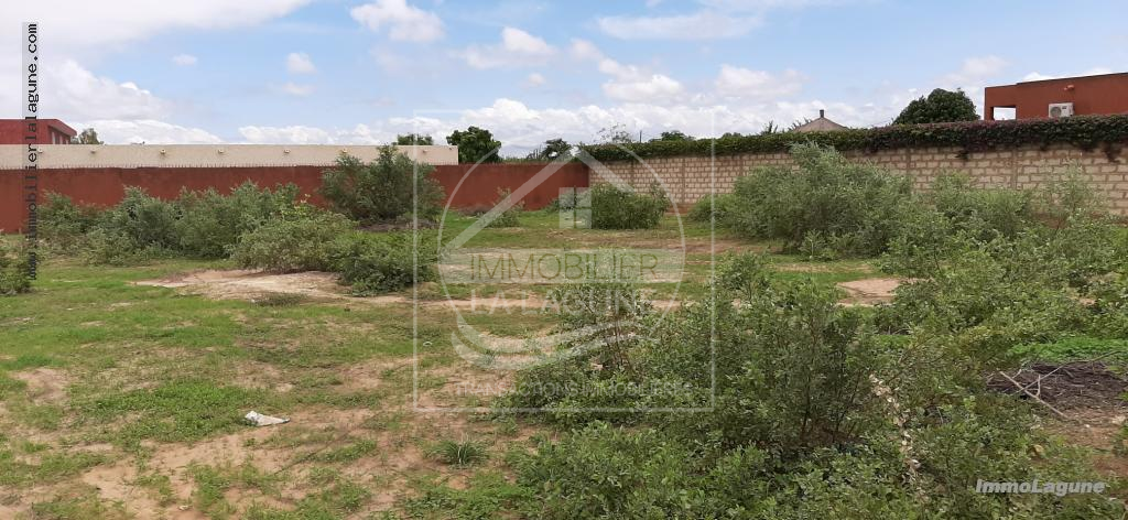 Agence Immobilière Saly Sénégal - T2673 - Terrain à NGAPAROU - T2673-terrain-a-vendre-a-ngaparou-senegal