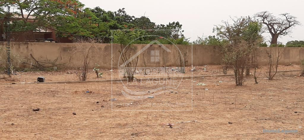 Agence Immobilière Saly Sénégal - T2669 - Terrain à NGUERIGNE - T2669-Terrain-en-vente-a-nguerigne-senegal