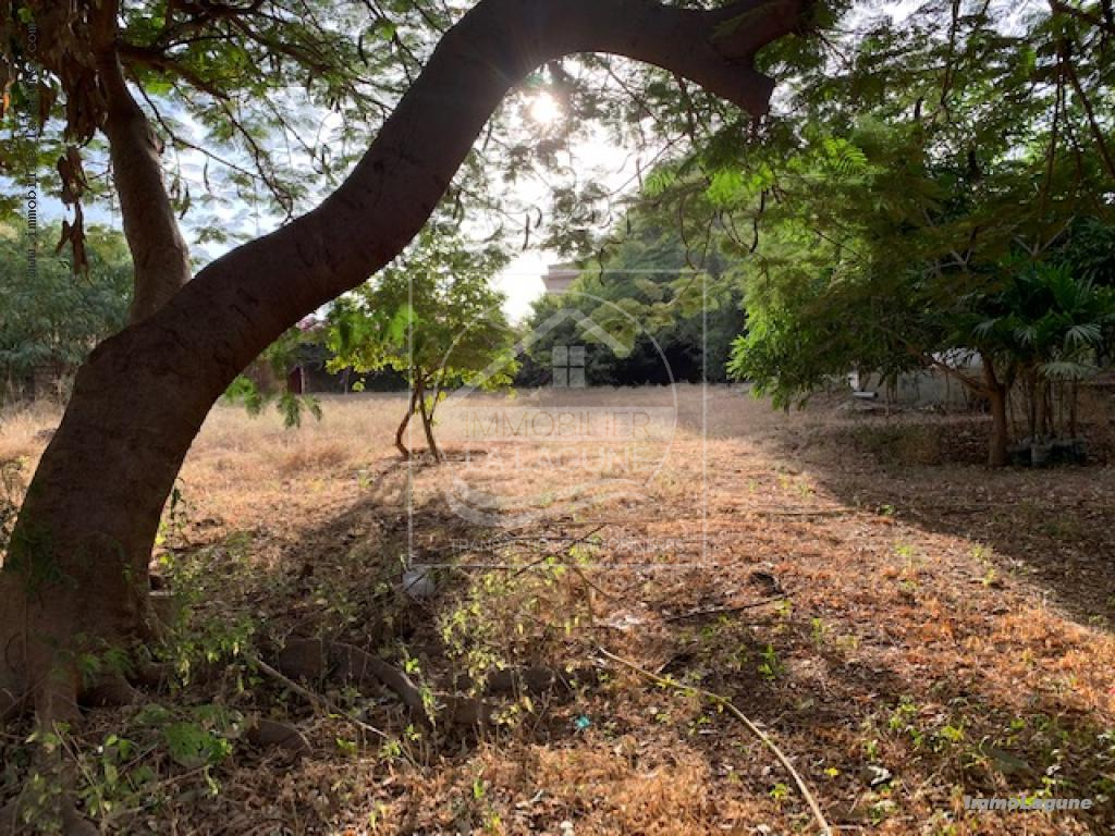 Agence Immobilière Saly Sénégal - T2707 - Terrain à NGAPAROU - T2707 terrain 2eme ligne mer ngaparou senegal