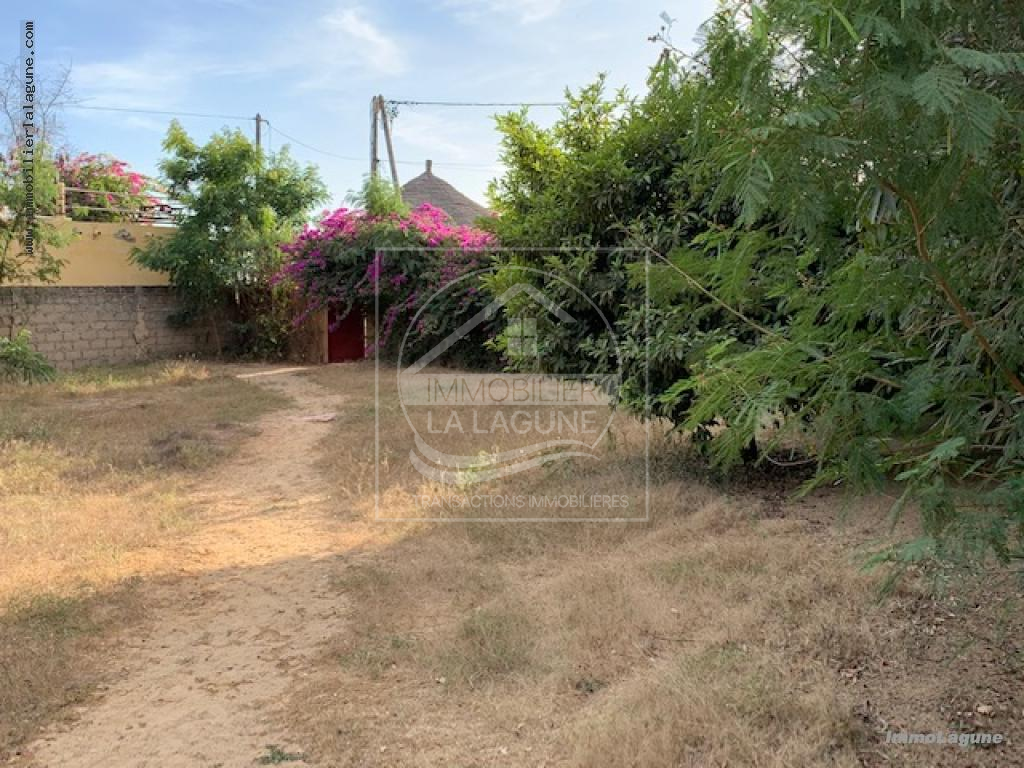 Agence Immobilière Saly Sénégal - T2707 - Terrain à NGAPAROU - T2707 terrain 2eme ligne mer ngaparou senegal