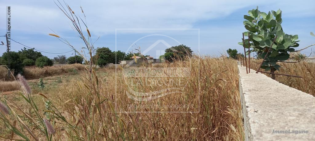 Agence Immobilière Saly Sénégal - T2717 - Terrain à NGUERIGNE - T2717-terrain-en-vente-a-nguerigne-serere-senegal