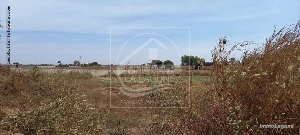 Agence Immobilière Saly Sénégal - T2717 - Terrain à NGUERIGNE - T2717-terrain-en-vente-a-nguerigne-serere-senegal