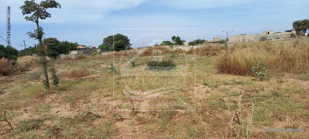 Agence Immobilière Saly Sénégal - T2717 - Terrain à NGUERIGNE - T2717-terrain-en-vente-a-nguerigne-serere-senegal