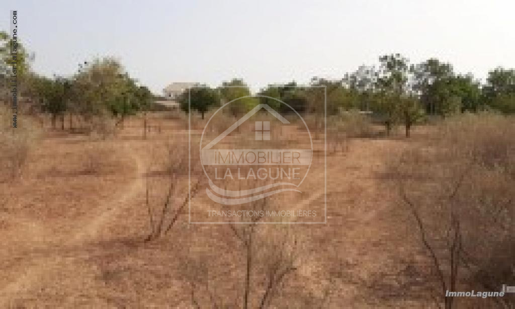 Agence Immobilière Saly Sénégal - T2735 - Terrain à NGUERIGNE - 