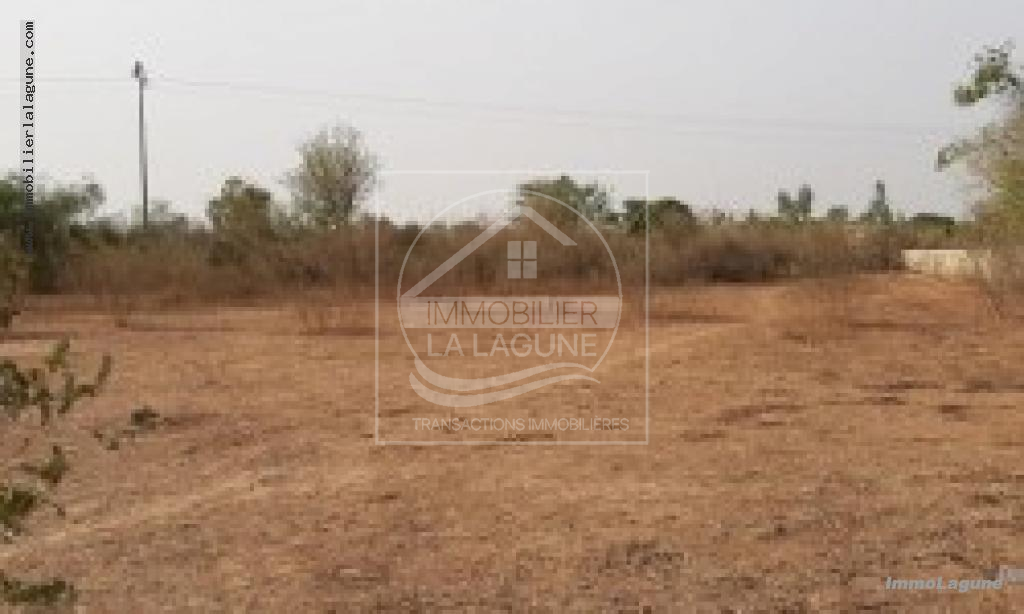 Agence Immobilière Saly Sénégal - T2735 - Terrain à NGUERIGNE - 