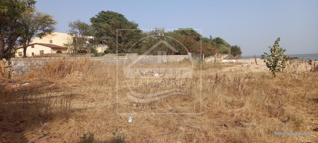 Agence Immobilière Saly Sénégal - T2765 - Terrain à NGAPAROU - T2765-terrain-bord-de-mer-en-vente-a-ngaparou-senegal