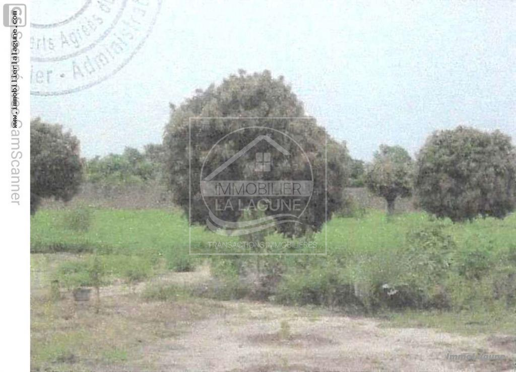 Agence Immobilière Saly Sénégal - T2766 - Terrain à DOUGAR - T2766-terrain-bord-de-route-a-dougar-senegal-en-vente