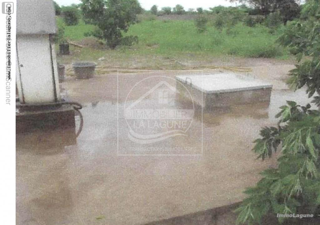 Agence Immobilière Saly Sénégal - T2766 - Terrain à DOUGAR - T2766-terrain-bord-de-route-a-dougar-senegal-en-vente